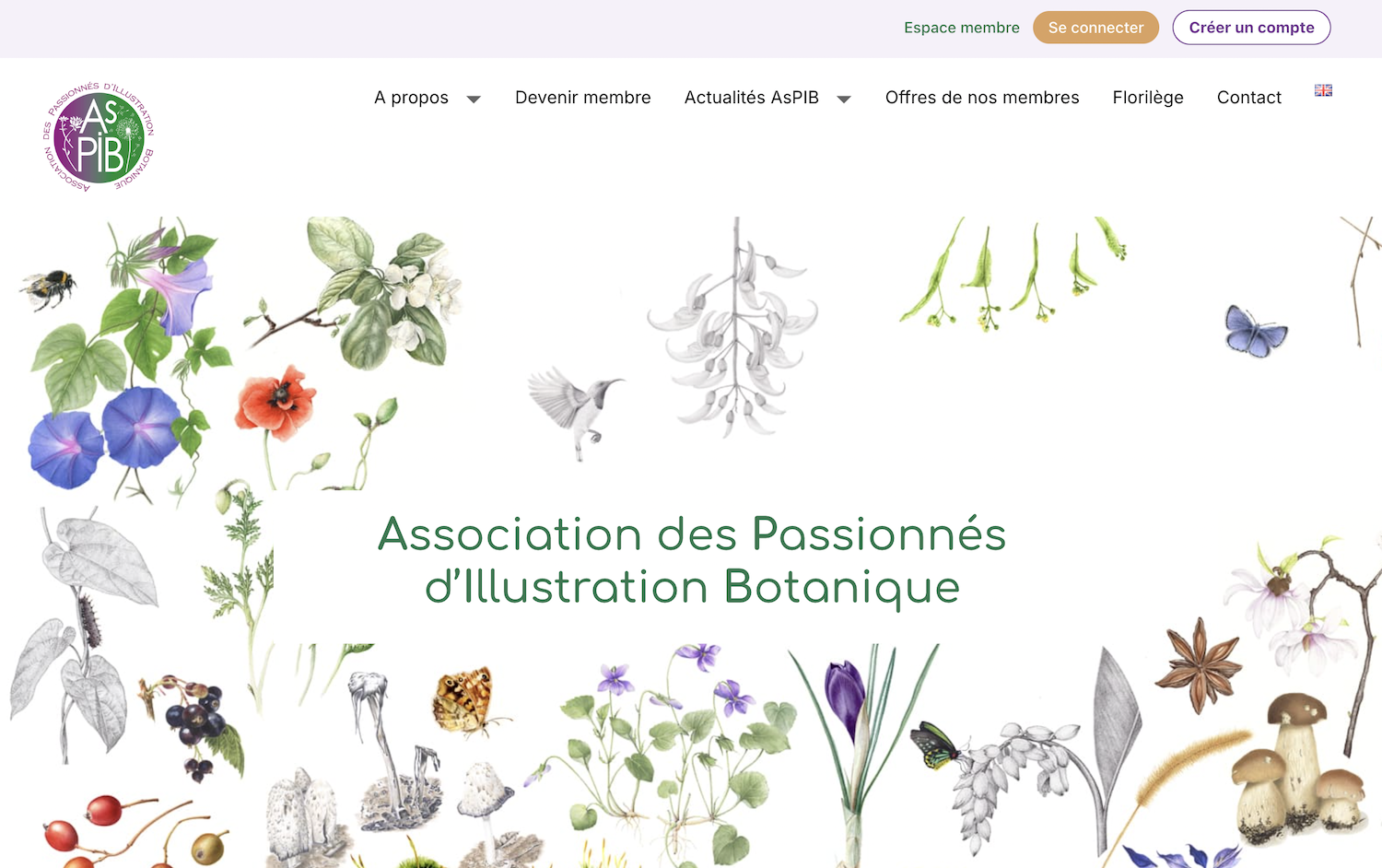 aspib site internet ludwine