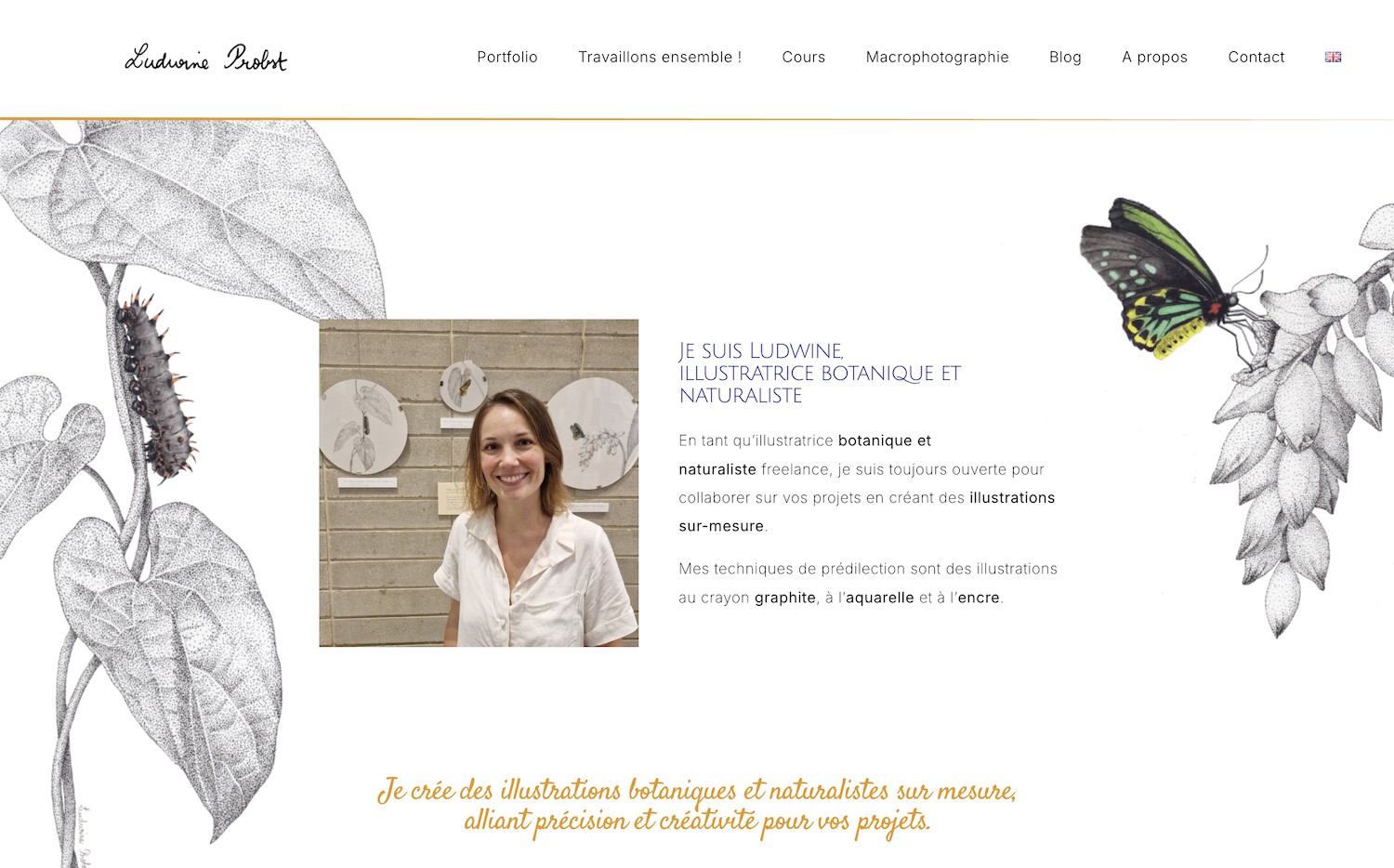 site internet ludwine illustration